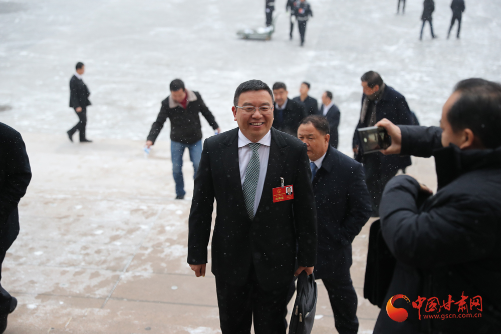 【聚焦2020甘肅兩會(huì)】“兩會(huì)”代表、委員風(fēng)采掠影（組圖）