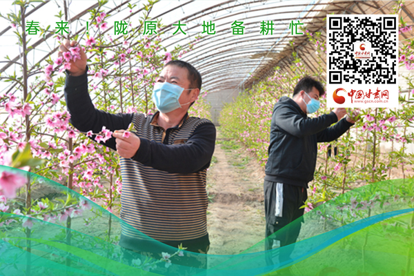 海報丨春來！隴原大地春耕忙