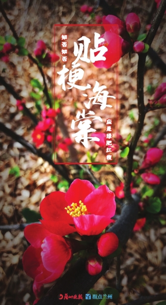 來(lái)，跟這些美美的花朵認(rèn)識(shí)一下！