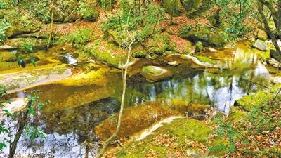 甘肅旅游丨八福溝，西秦嶺深處的水韻秘境