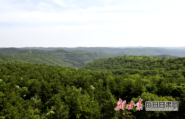 【甘肅生態(tài)環(huán)保媒體行】子午嶺深處，一家三代人用生命守護黃土高原的“天然生態(tài)屏障”