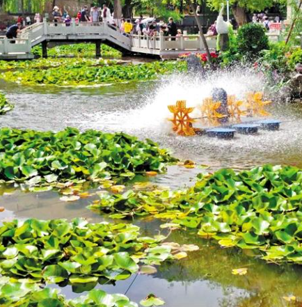 走，到五泉山公園看花展去