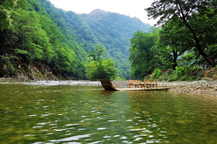【小隴畫(huà)報(bào)·95期】康縣：來(lái)陽(yáng)壩，“森”呼吸，我“氧”你