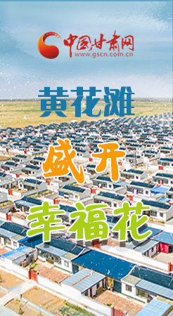 【跟著總書記看甘肅】長圖|武威黃花灘盛開幸?；?