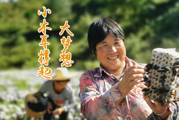 海報丨他們，乘“豐”破浪！