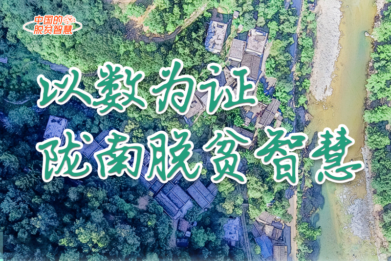 【中國(guó)的脫貧智慧】以數(shù)為證！隴南脫貧智慧來了！
