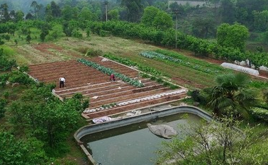 甘肅省加快推動家庭農(nóng)場數(shù)量質量雙提升