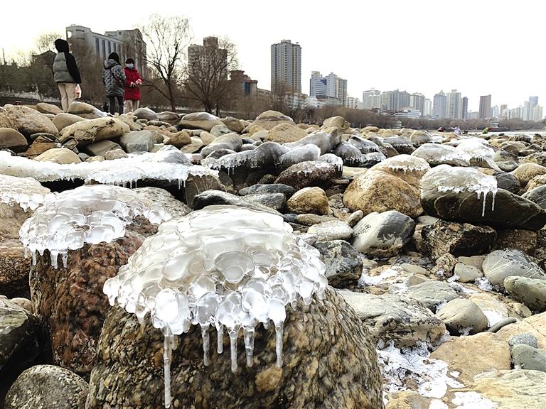 蘭州：水母上河灘？