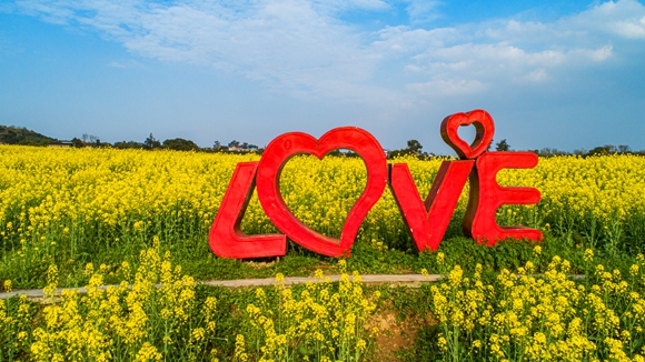 “l(fā)ove”創(chuàng)意拍照墻。廖濤 攝
