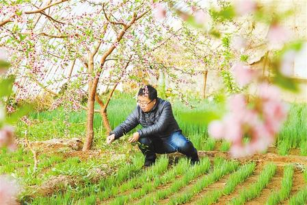 甘肅：時(shí)令催人耕種忙，不誤田間一季春