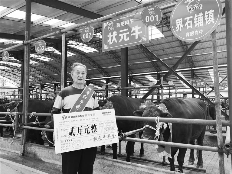 120頭“平?jīng)黾t?！膘o寧爭(zhēng)霸