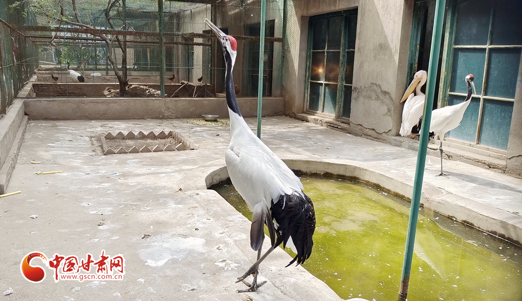 蘭州公安提醒市民：非緊急非必要，不出境