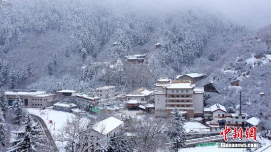 圖為籠罩在雪下的世界。吳永 攝