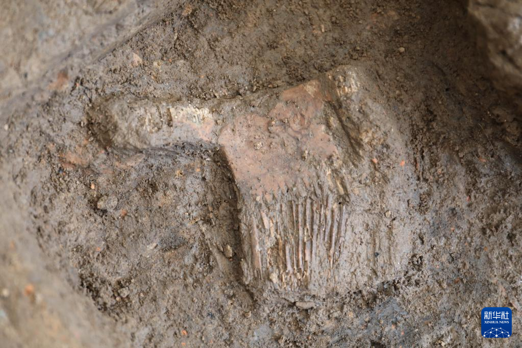 河南南陽(yáng)市黃山新石器時(shí)代遺址出土的屈家?guī)X文化骨梳（資料圖）。