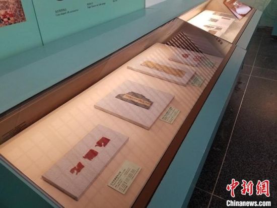 圖為展覽現(xiàn)場。　敦煌研究院供圖