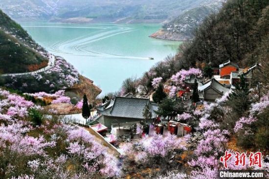 甘肅平?jīng)鍪惺侵袊鴥?yōu)秀旅游城市。圖為平?jīng)鲠轻忌较率锾一ㄊ㈤_。(資料圖) 平?jīng)鍪形麄鞑抗﹫D