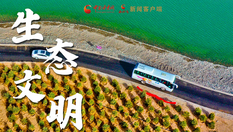 彈幕海報丨熱議甘肅省委十三屆十六次全會 網(wǎng)民聲音在回響！