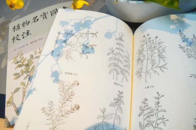 《植物名實圖考校注》內(nèi)頁。圖片來源：中華書局供圖
