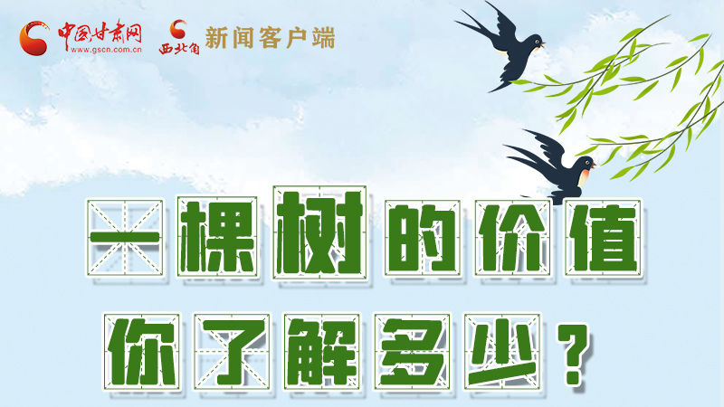 圖解|一棵樹(shù)的價(jià)值你了解多少?來(lái)看！