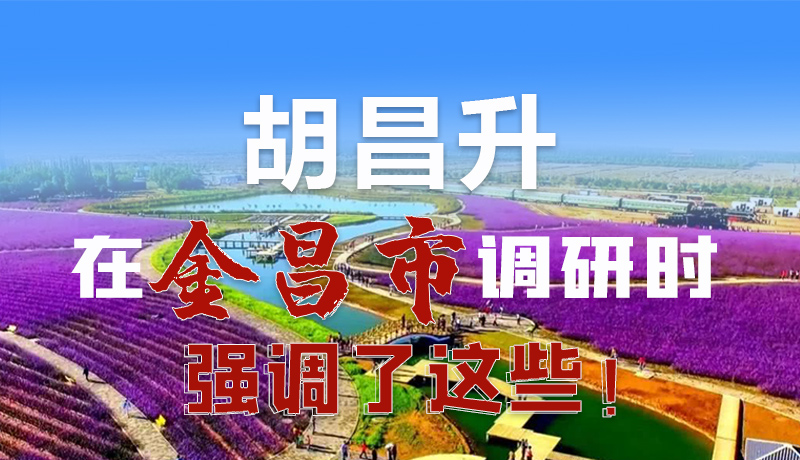 圖解|胡昌升在金昌市調(diào)研時強調(diào)了這些！