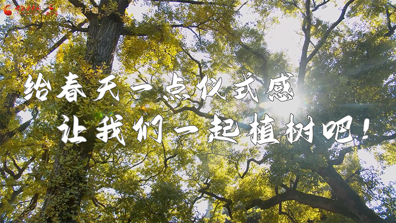 短視頻|給春天一點儀式感，讓我們一起植樹吧！