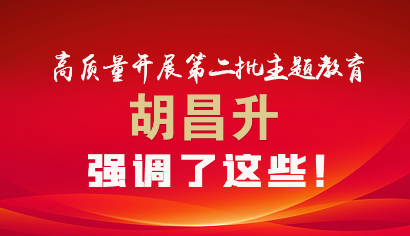 圖解|高質(zhì)量開展第二批主題教育 胡昌升強(qiáng)調(diào)了這些！