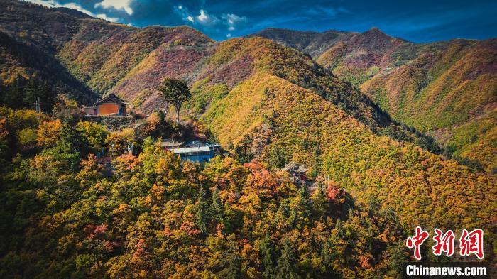 深秋，位于蘭州市榆中縣的興隆山，似打翻調(diào)色板。金峯 攝