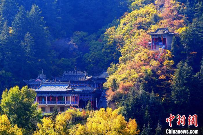 深秋，位于蘭州市榆中縣的興隆山景色如畫。宮衛(wèi)紅 攝