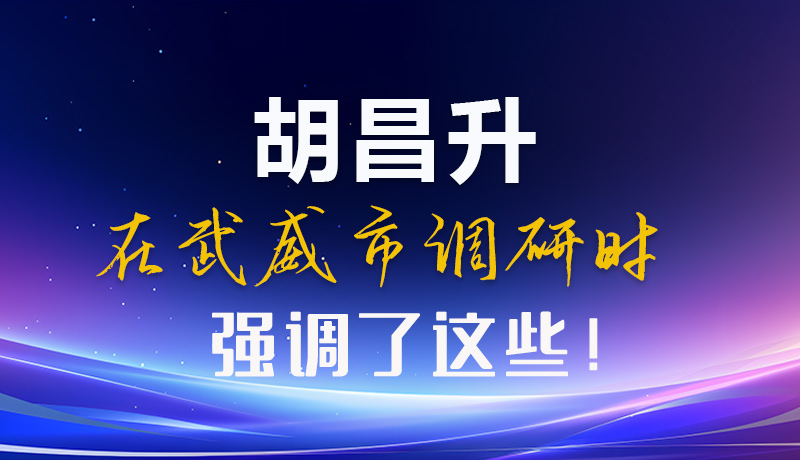 圖解|胡昌升在武威市調研時強調了這些！