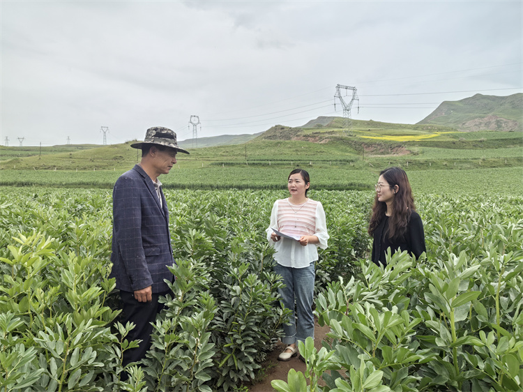 1721898041570263.jpg 圖為古浪縣十八里堡鄉(xiāng)紀(jì)檢監(jiān)察干部在東廟兒溝村大豆種植基地了解產(chǎn)業(yè)獎補(bǔ)政策落實情況.jpg