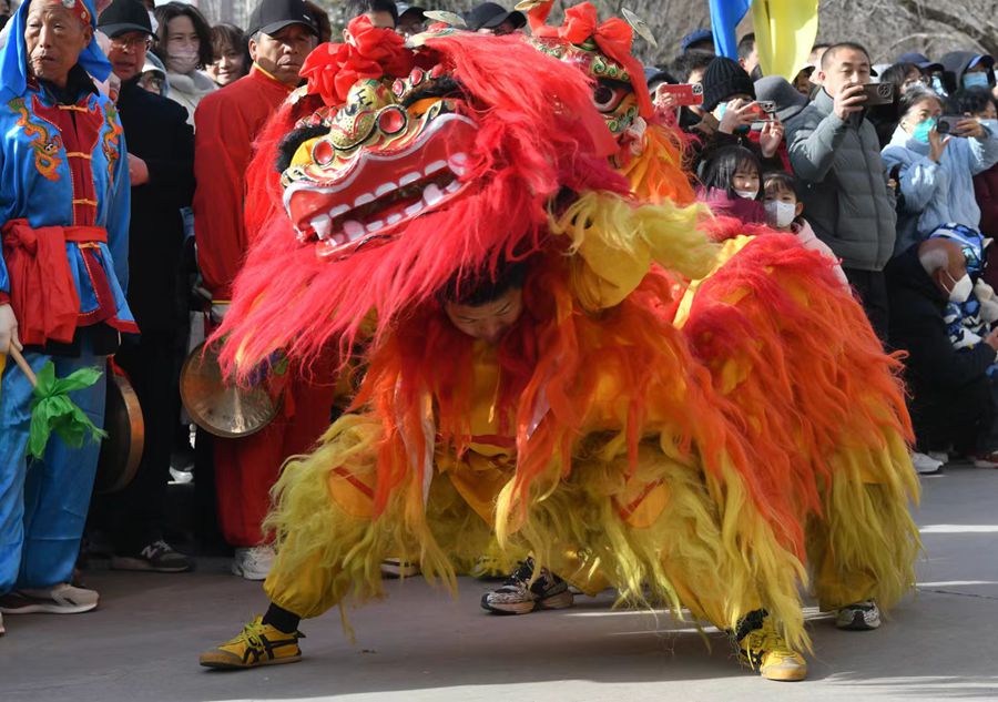 蘭州北獅表演現(xiàn)場(chǎng)。受訪者供圖