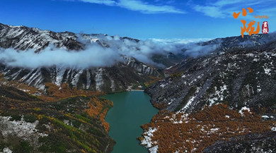 太子山：深秋畫卷與初雪的浪漫邂逅