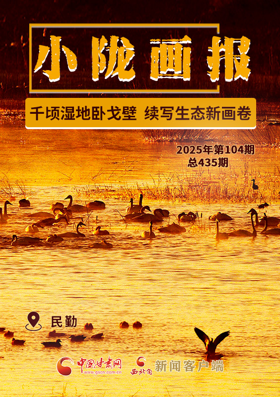 【小隴畫報·435期】民勤：千頃濕地臥戈壁 續(xù)寫生態(tài)新畫卷