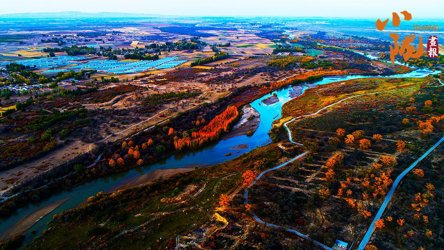 【小隴畫報·435期】民勤：千頃濕地臥戈壁 續(xù)寫生態(tài)新畫卷