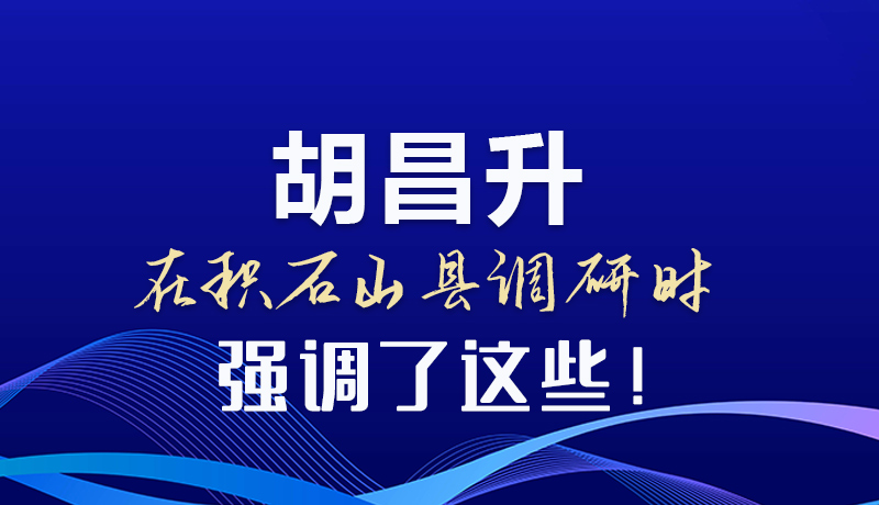圖解|胡昌升在積石山縣調研時強調了這些！